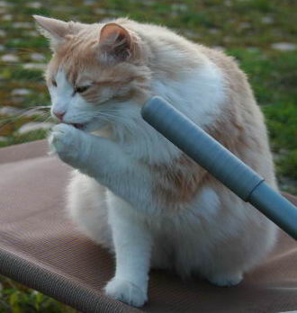 copyright: Rainer & Marion