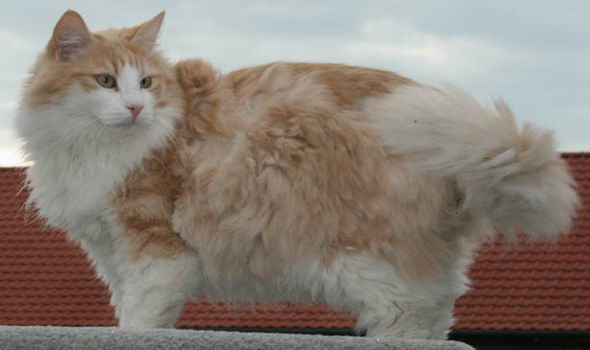 copyright: Rainer & Marion