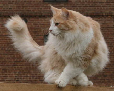 copyright: Rainer & Marion