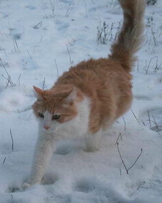 copyright: Rainer & Marion