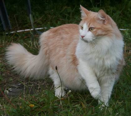 copyright: Rainer & Marion