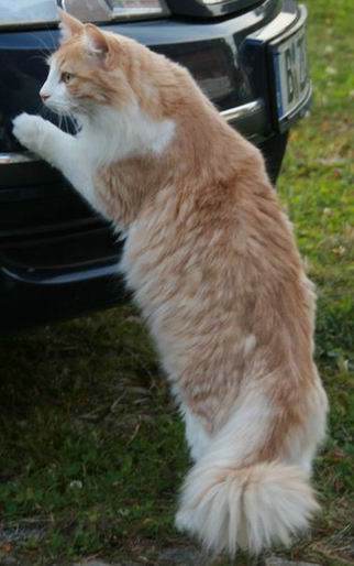 copyright: Rainer & Marion