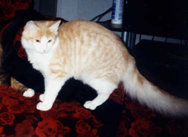 copyright: Rainer & Marion