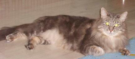 copyright: Fam. Frisch