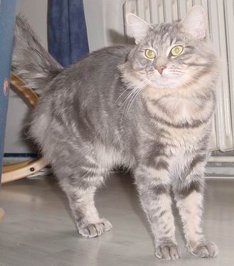 copyright: Fam. Frisch