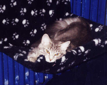 copyright: Fam. Frisch