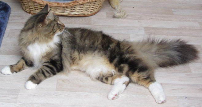 copyright: Dagmar Eichinger