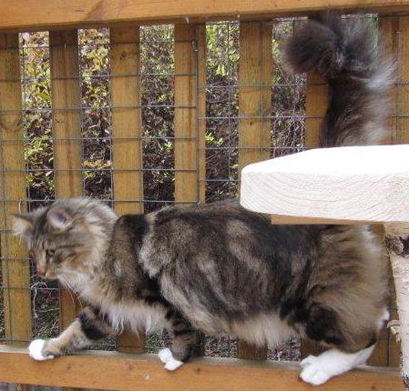 copyright: Dagmar Eichinger