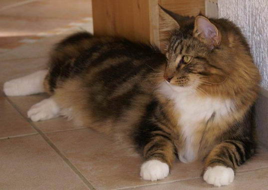 copyright: Dagmar Eichinger