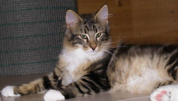 copyright: Dagmar Eichinger