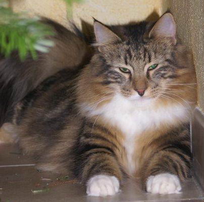 copyright: Dagmar Eichinger