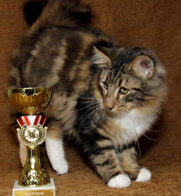 copyright: sr-fotografie