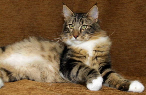 copyright: sr-fotografie