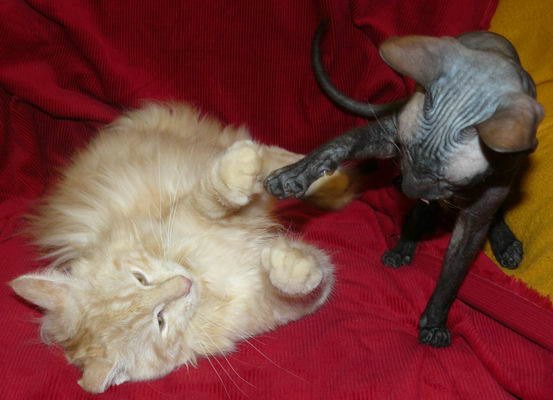 copyright: Silvia & Marek