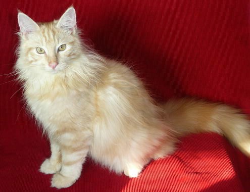 copyright: Silvia & Marek