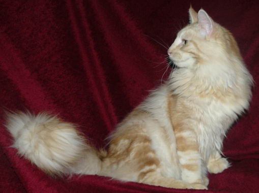 copyright: Silvia & Marek