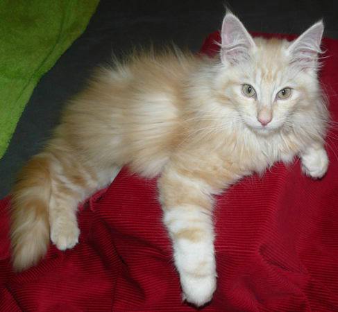 copyright: Silvia & Marek