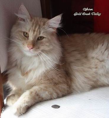 copyright: Karin Ortiz