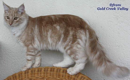 copyright: Karin Ortiz