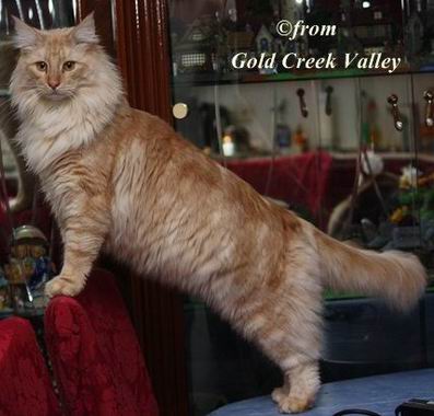 copyright: Karin Ortiz