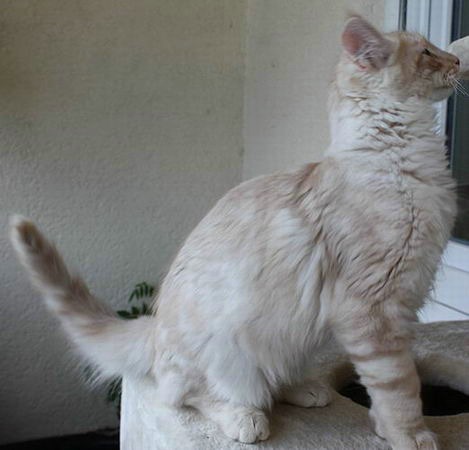 copyright: Karin Ortiz