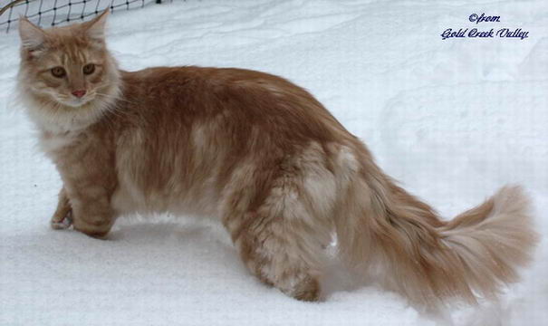 copyright: Karin Ortiz