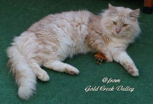 copyright: Karin Ortiz