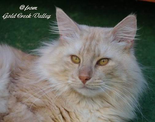 copyright: Karin Ortiz