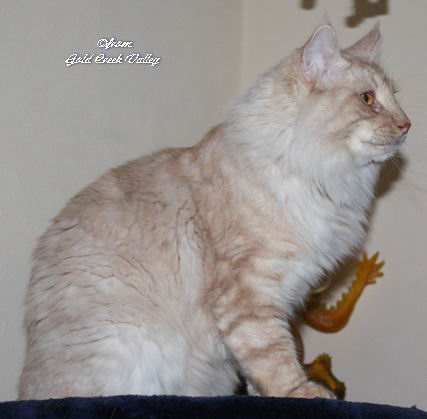 copyright: Karin Ortiz