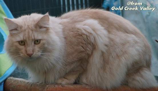 copyright: Karin Ortiz