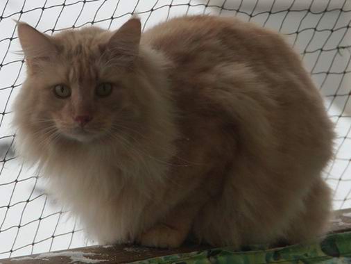 copyright: Karin Ortiz