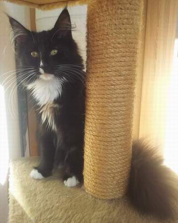 copyright: Katja & Kevin