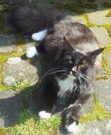 copyright: Katja & Kevin