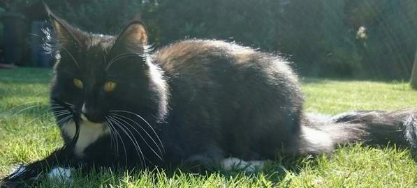 copyright: Katja & Kevin