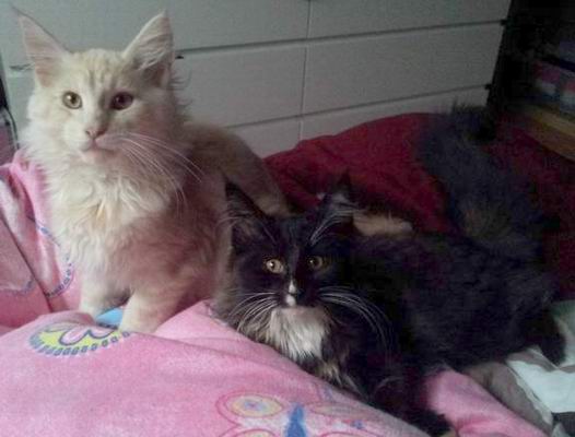 copyright: Katja & Kevin