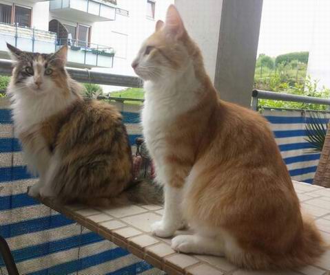 copyright: Cordula & Jan