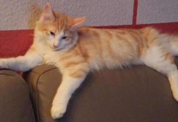 copyright: Cordula & Jan