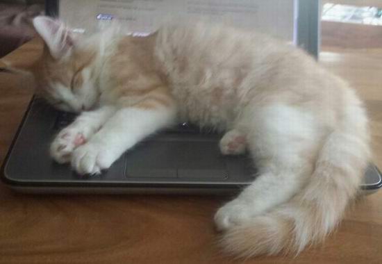 copyright: Cordula & Jan