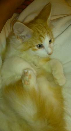 copyright: Cordula & Jan