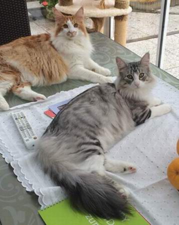 copyright: Jana & Ben