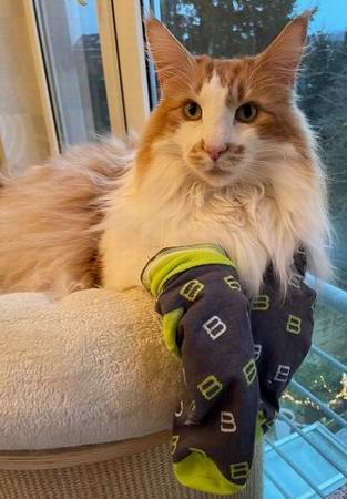 copyright: Jana & Ben