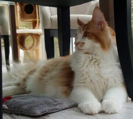 copyright: Jana & Ben