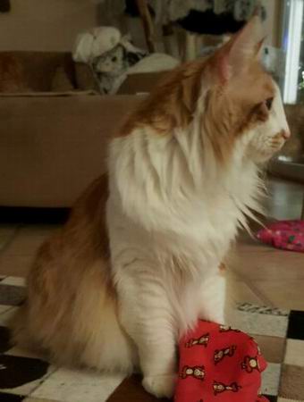 copyright: Jana & Ben