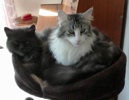 copyright: Fam. Lerch