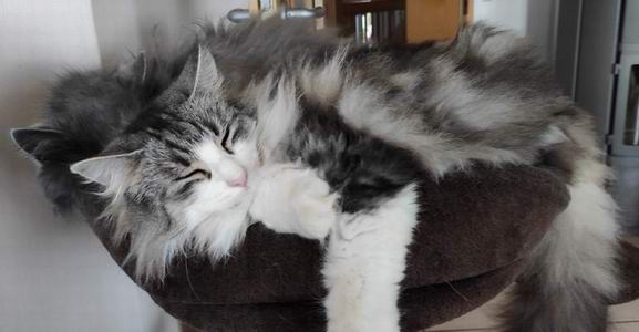 copyright: Fam. Lerch