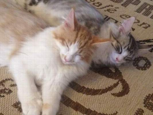 copyright: Jana & Ben