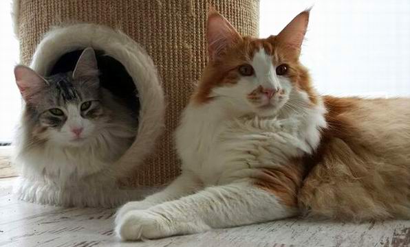 copyright: Jana & Ben