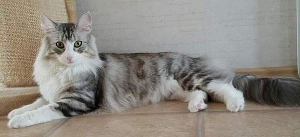 copyright: Jana & Ben