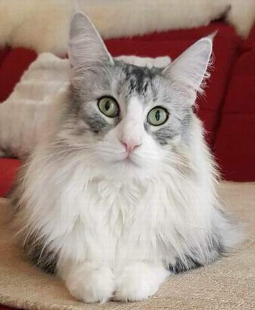 copyright: Jana & Ben