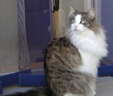 copyright: Anke & Stefan Giehr